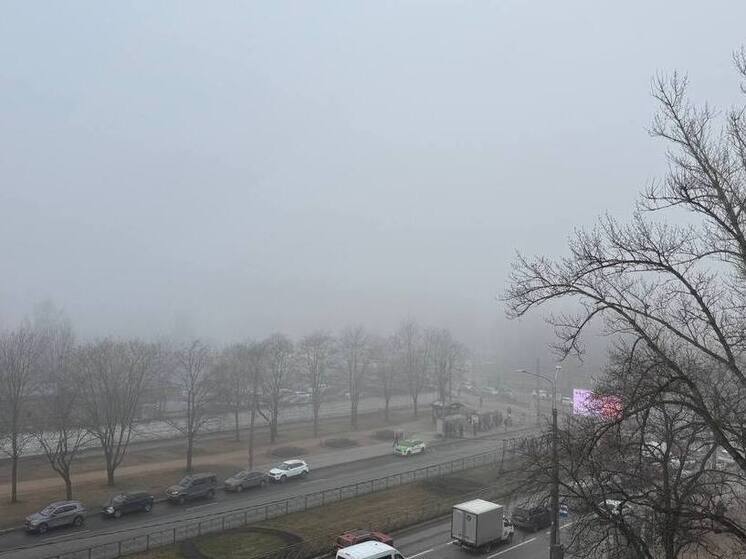 Сильный туман накрыл Мурманск