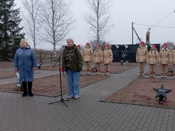 На воинском захоронении в Чудовском округе провели митинг