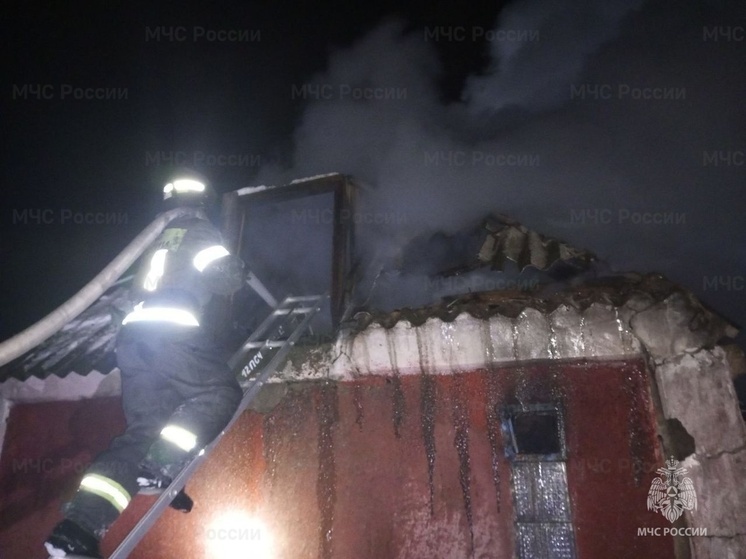 Херсонские спасатели МЧС потушили загоревшийся дом в Андреевке