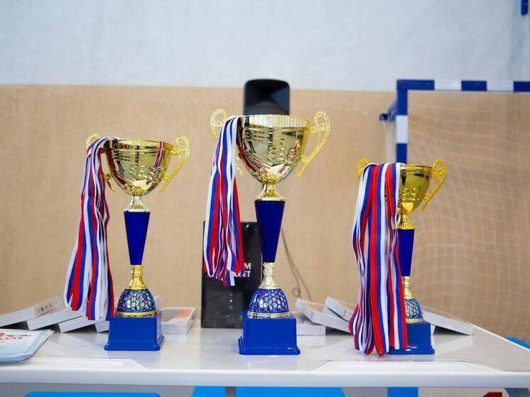 Телков сообщил о проведении фестиваля «Кубок героев» в Лебедяни