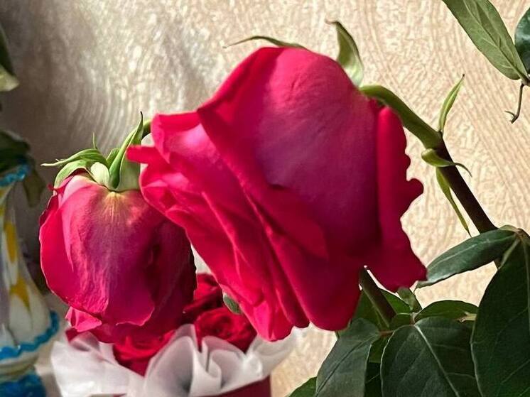 В предновогоднюю пору цветы — один из самых популярных и универсальных подарков