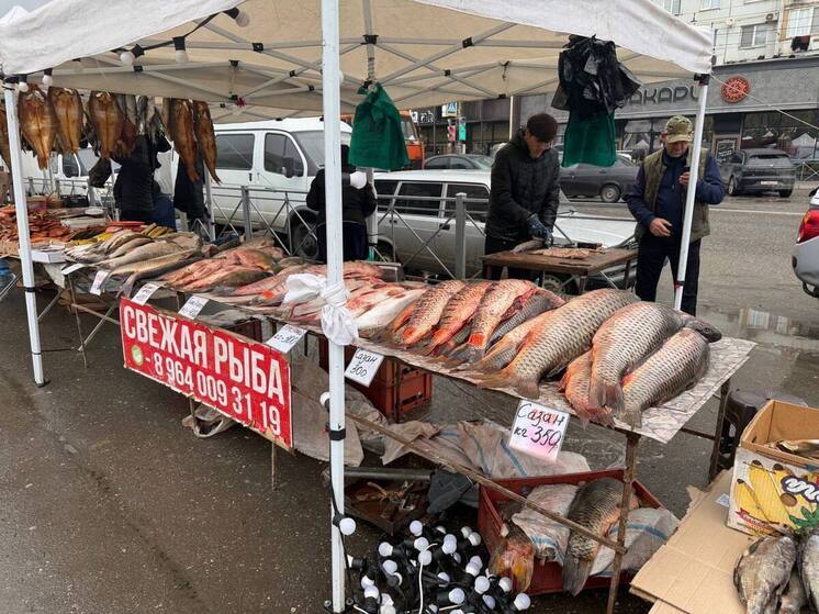В Махачкале стартовала ярмарка рыбы и фермерской продукции