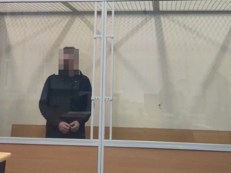 В Петербурге суд заключил под стражу адвоката за уклонение от уплаты налогов