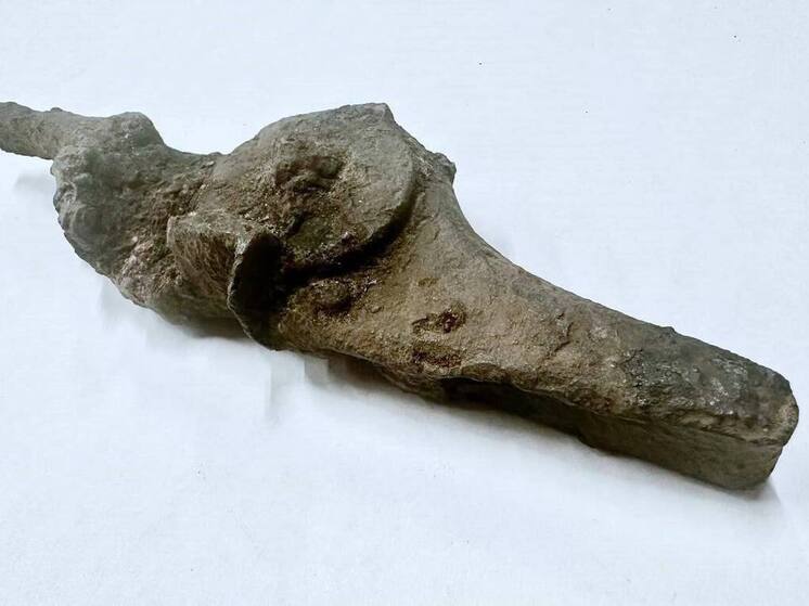 Строители нашли артефакт XVII века в Выборге