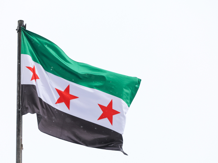 Аш-Шараа: выборы в Сирии состоятся через четыре года