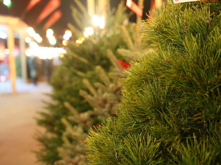 20 декабря в Великих Луках откроются предновогодние елочные ярмарки