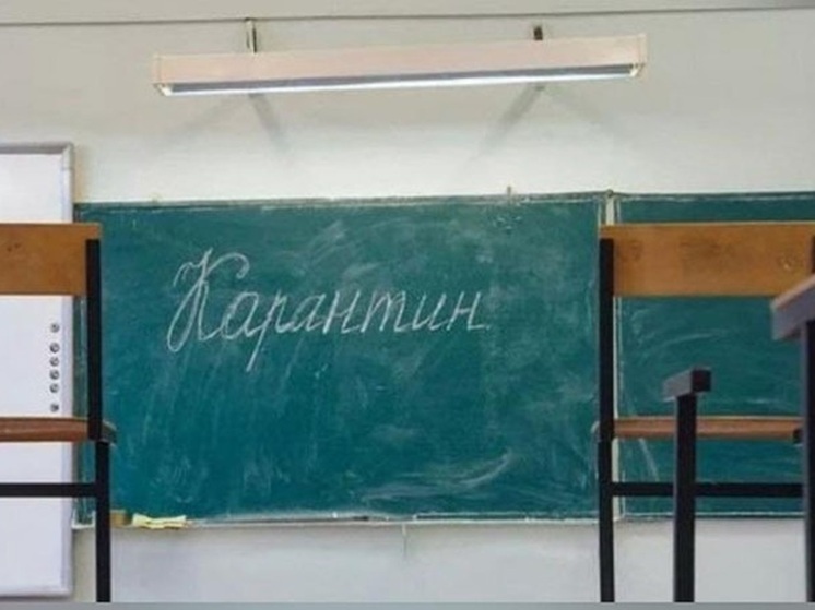 В образовательных учреждениях Элисты продлили карантин