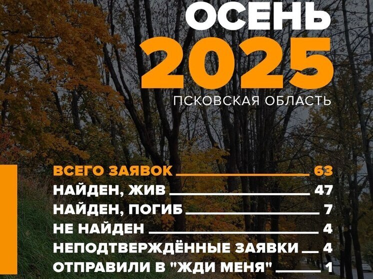 "ЛизаАлерт" подводит итоги осенних поисков в Псковской области и готовится к городским задачам