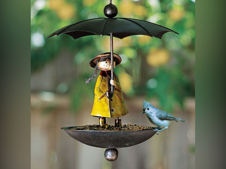 Жителей Карелии проинформировали о правильном кормлении птиц в зимний период