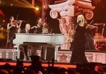 Ирина Аллегрова — та артистка, которая даже на годовом концерте умудряется создать не только праздник, но и пищевод для обсуждений