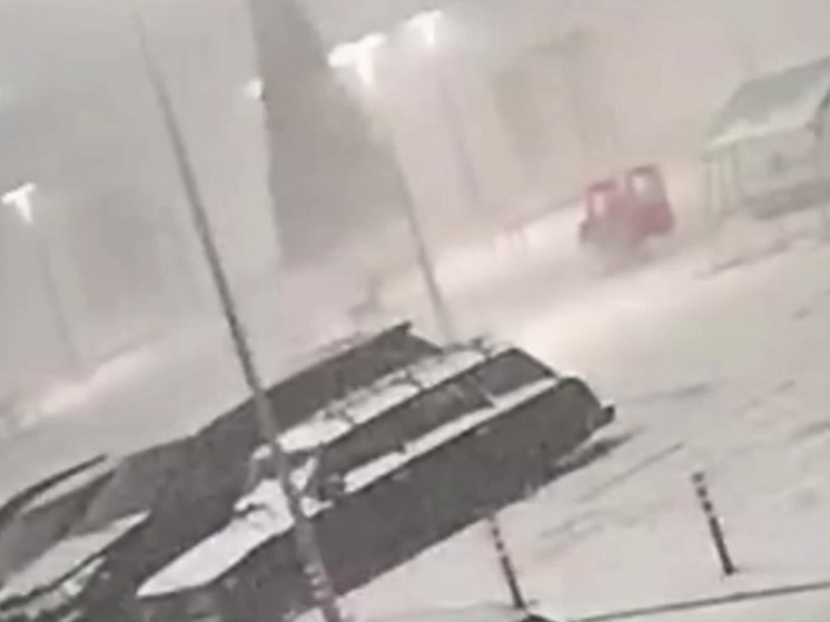 Сильный ветер повалил новогоднюю ёлку во дворе красноярского ЖК