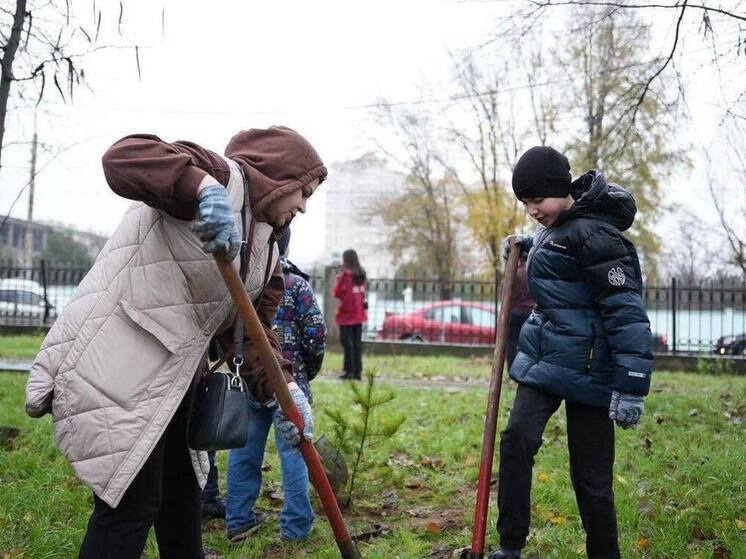 В Махачкале прошла экологическая акция с высадкой сосен в парке