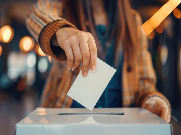 Германия — Большинство без доверия