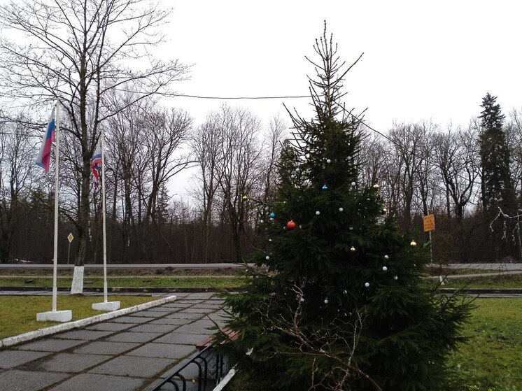 Ленинградцев 7 декабря ждут дожди, переходящие в мокрый снег