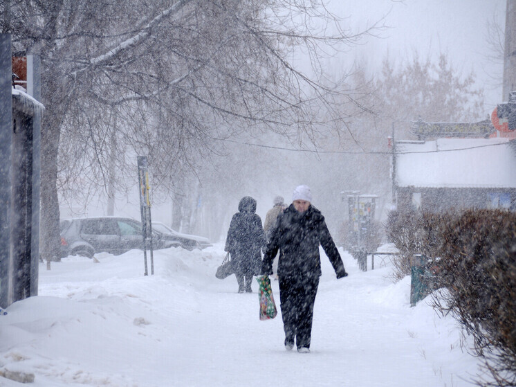 Заметет: синоптики назвали даты, когда пойдет снег в Подмосковье