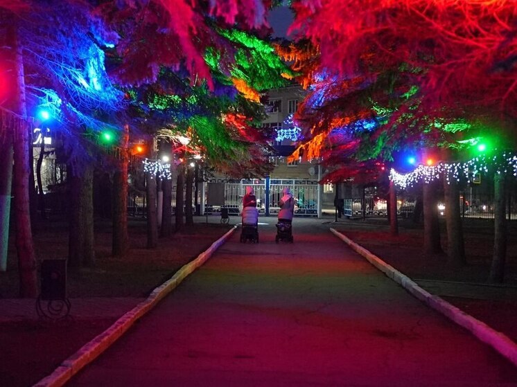 Парк Николаева встретил зиму и преобразился к Новому году