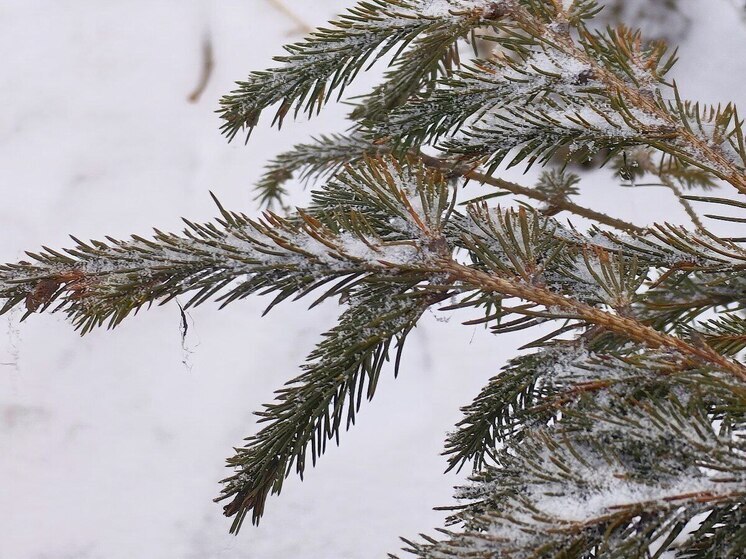 Во Владивостоке 7 декабря снег, гололедица и до +4 градусов