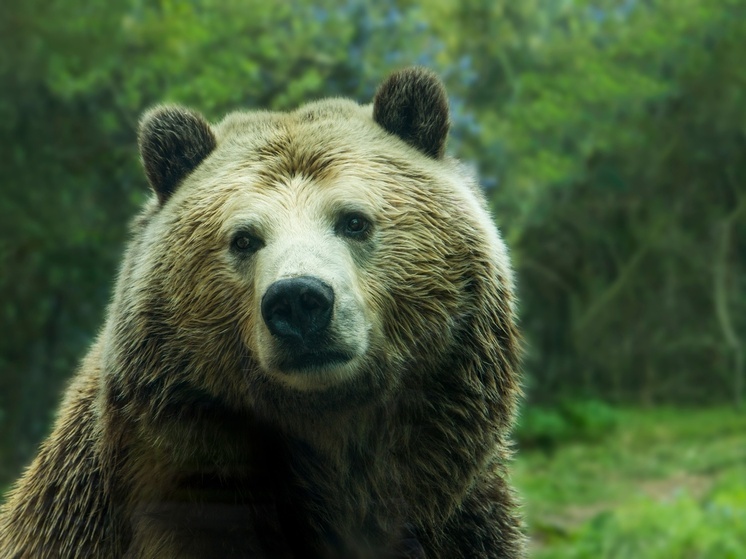 В НАО посетовали на низкую узнаваемость местных брендов
