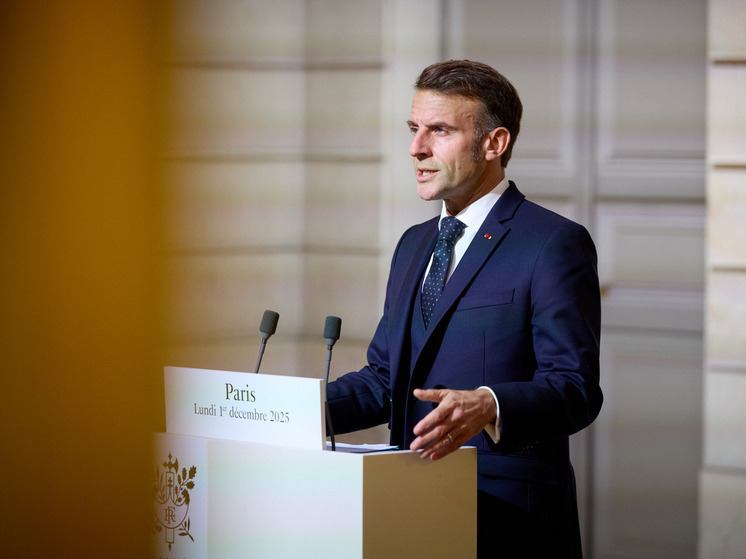 Президент Франции рассказал, о чем разговаривал с Зеленским