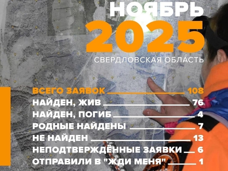 Свердловский отряд «ЛизаАлерт» в ноябре нашел живыми 76 человек