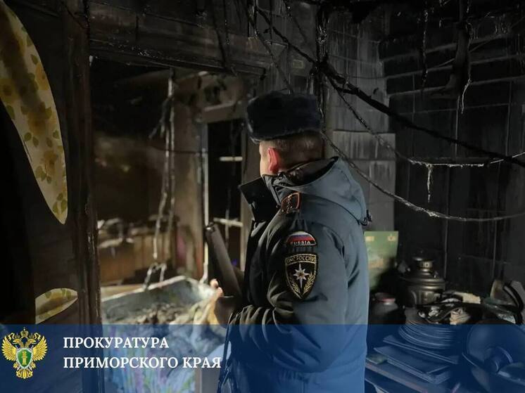 Малыши пострадали в пожаре жилого дома Уссурийска: прокуратура ищет причины