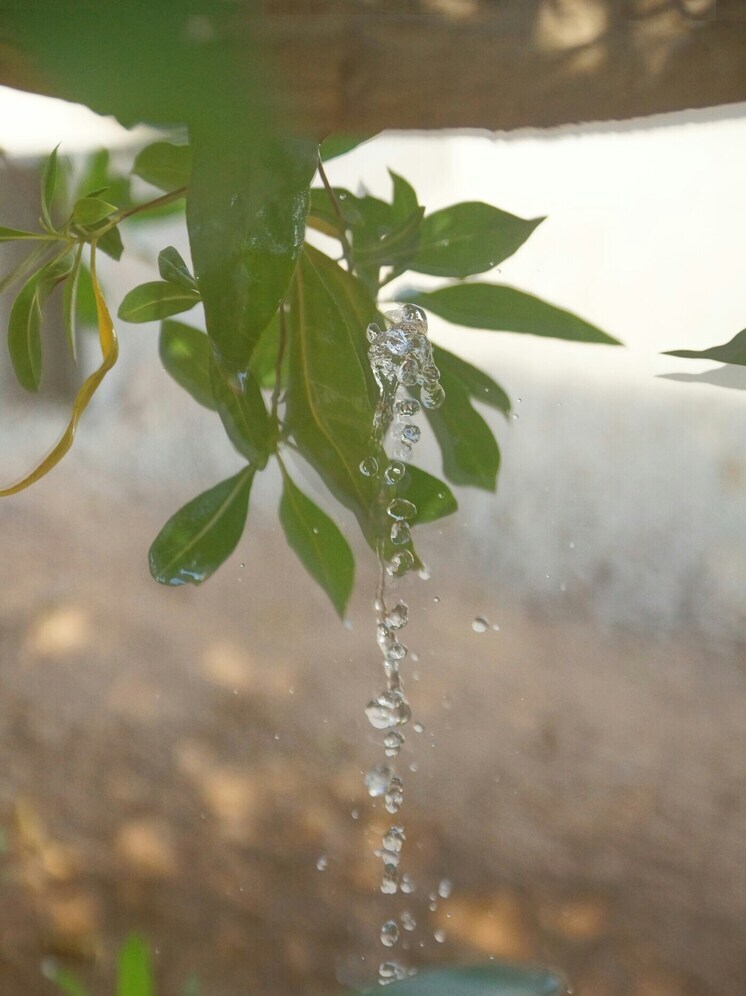 В Улан-Удэ благоустроят Аллею Славы ветеранов