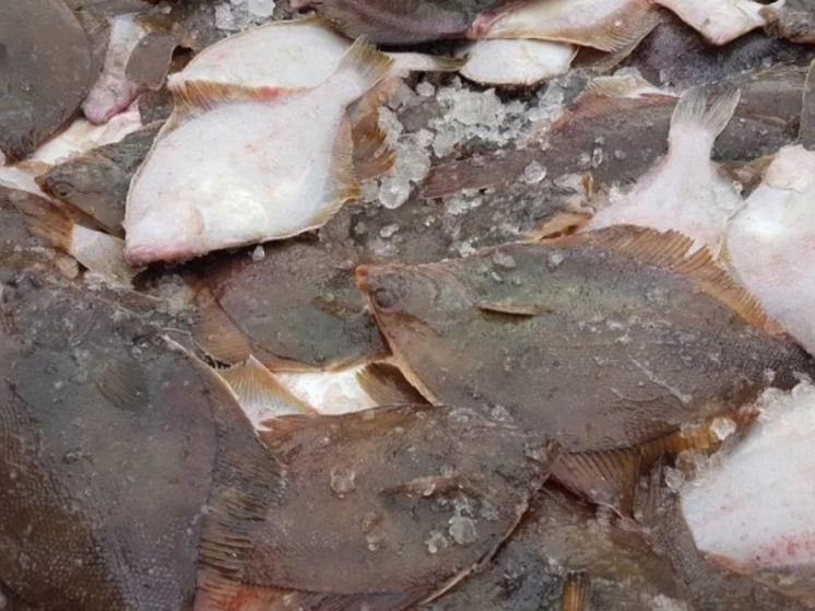 Свежий минтай и камбала: в Южно-Сахалинске продают свежую рыбу 7 декабря