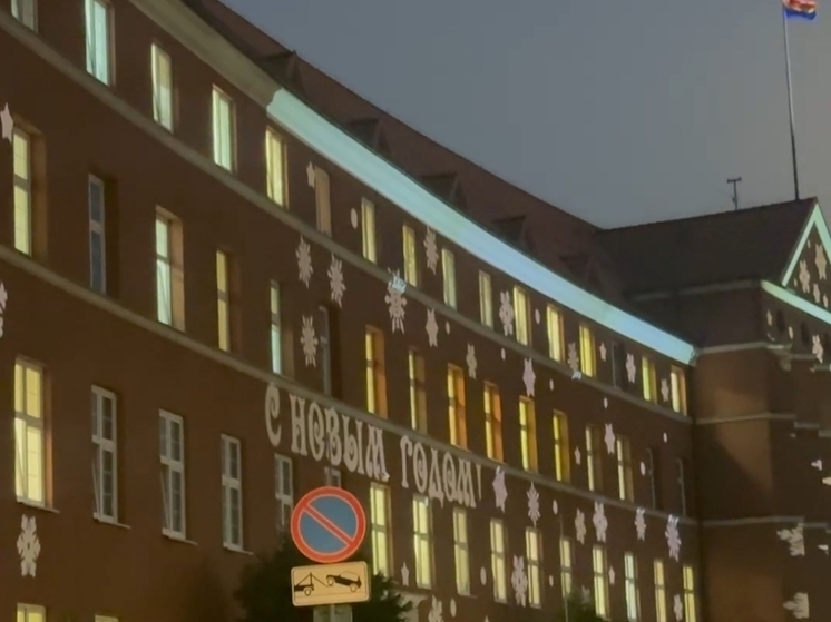 Правительство Калининградской области засияло праздничной подсветкой