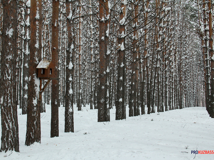 Погода в Кузбассе испортится в ночь на воскресенье
