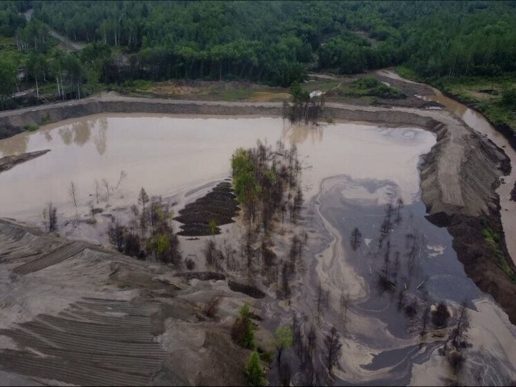 Золотодобытчик Приамурья ответил за загрязнение реки Малые Дамбуки