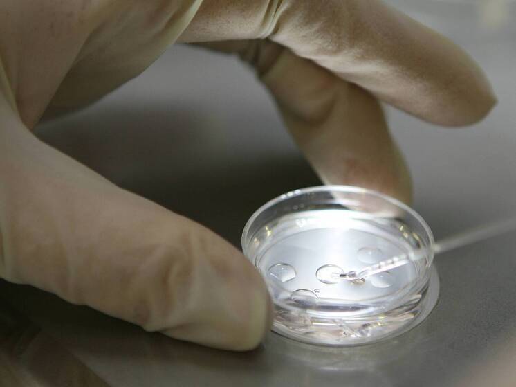 Британские пары, участвующие в ЭКО, используют юридическую лазейку, чтобы ранжировать эмбрионы на основе потенциального IQ, роста и здоровья