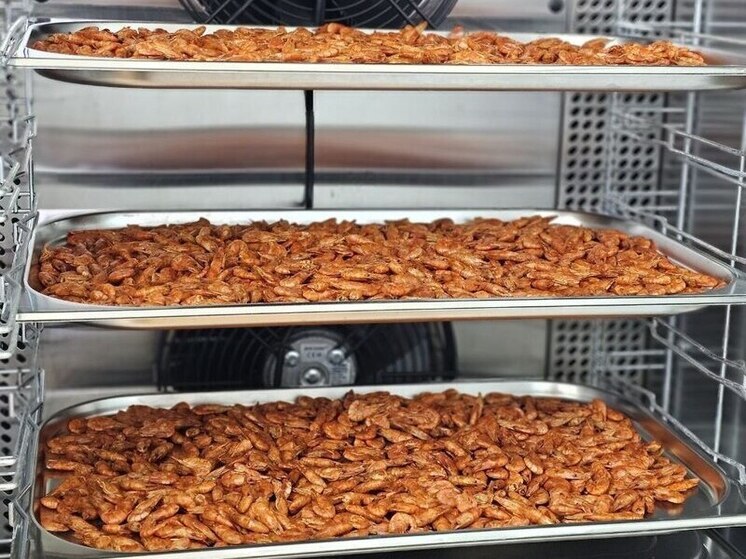 В Севастополе предприниматель запустила производство креветок в шоколаде