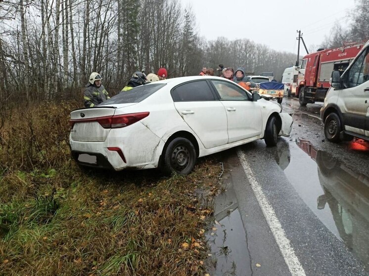 На 10 вызовов за минувшие дежурные сутки выезжали ленинградские спасатели