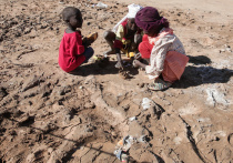 В результате атаки беспилотника военизированных формирований на юге Судана погибли по меньшей мере 50 человек, в том числе 33 ребенка