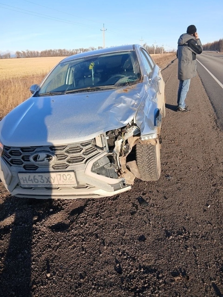 В районе Башкирии случилось три аварии с гибелью животных