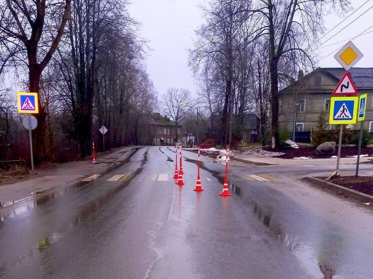 Водитель «Киа» сбил женщину на зебре в Маловишерском округе