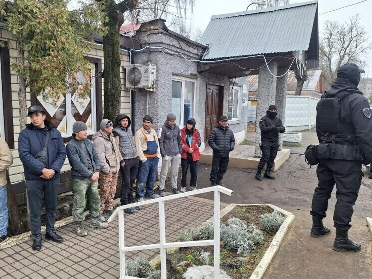 В Подмосковье завершилась серия масштабных рейдов по проверке мигрантов