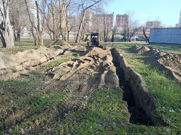 В Краснодаре появится Дубовая аллея в честь героев СВО