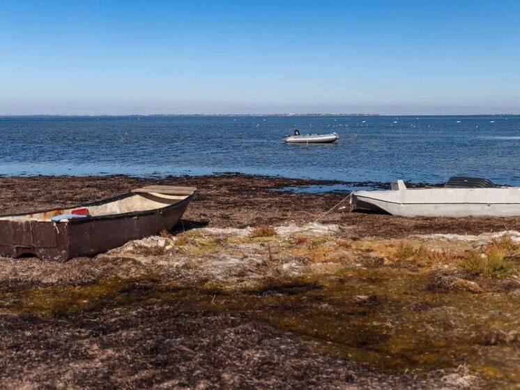 В Херсонской области сегодня днем ожидается до +8 градусов