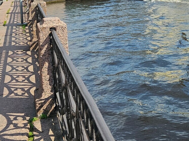 Воскресное утро в Санкт-Петербурге омрачилось смертельной аварией в Василеостровском районе