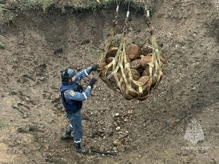 В Ленобласти обезвредили восемь авиабомб и более ста мин времён войны