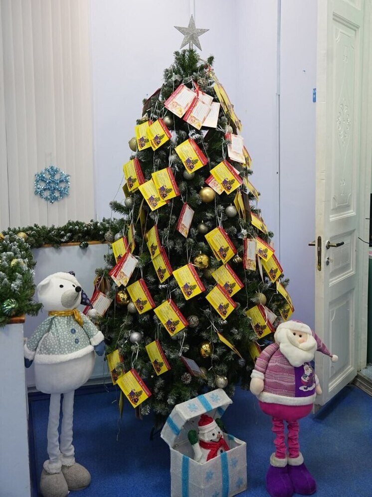 Заместители мэра Самары присоединились к новогодней акции «Елка желаний»