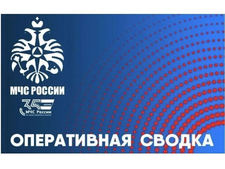 Огнеборцы Смоленской области ликвидировали 10 пожаров за сутки