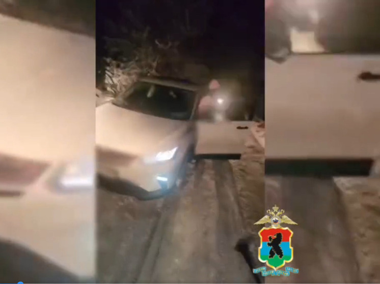 Правоохранители ликвидировали нелегальный интернет-магазин по продаже запрещенных веществ. Его организатором был житель Ленобласти, а подельник-закладчик проживал в Костомукше, сообщил телеграм-канал ГУ МВД по Республике Карелия. В отношении фигурантов возбуждено уголовное дело.