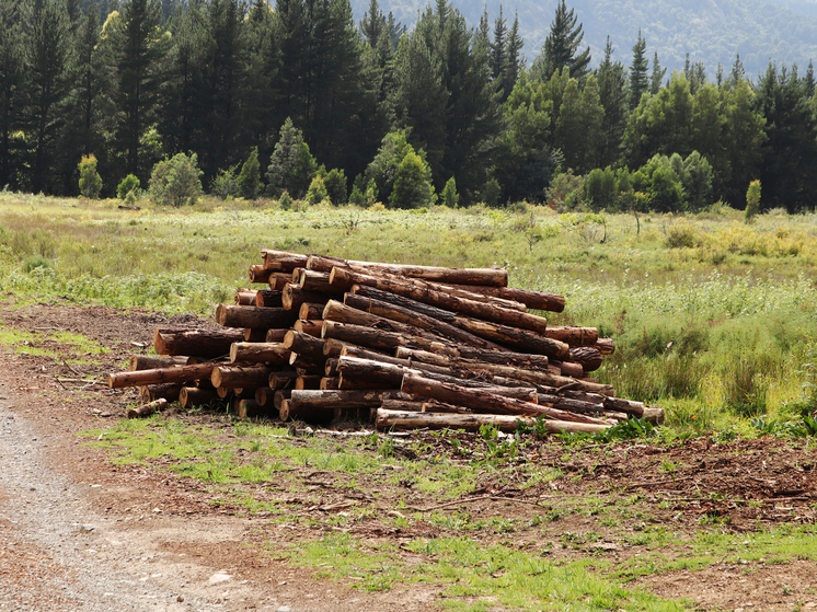 В Ульяновской области завершился первый этап межведомственной акции «Лес»
