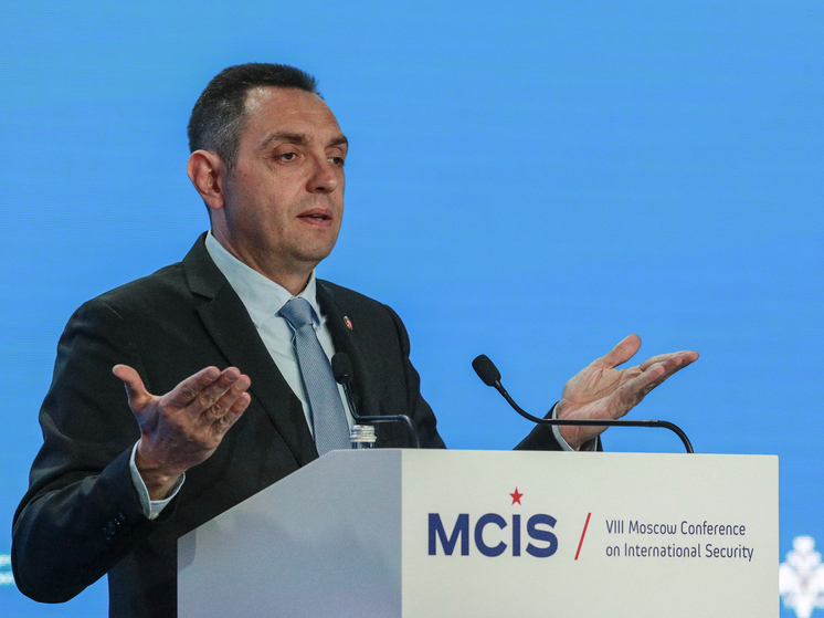 Вулин: проевропейские политики Сербии требуют отнять NIS у России