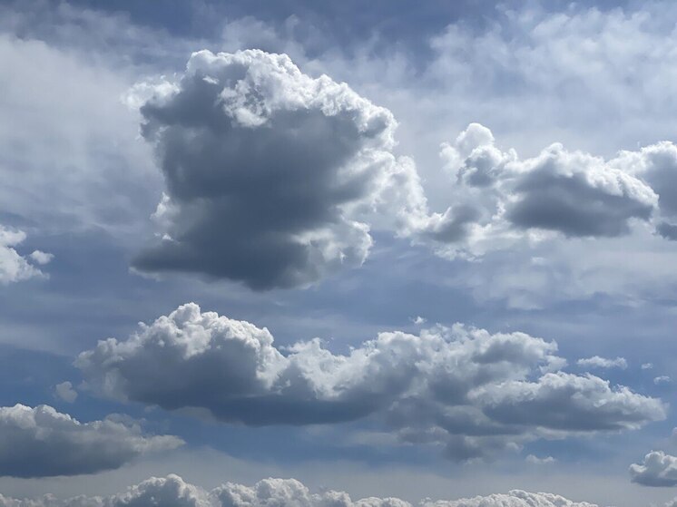 Пензенцам рассказали, какая погода будет в регионе 8 декабря