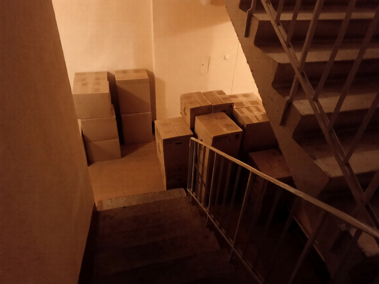 Эксперты Авито определили сферы высокой бизнес-активности в Петербурге и Москве