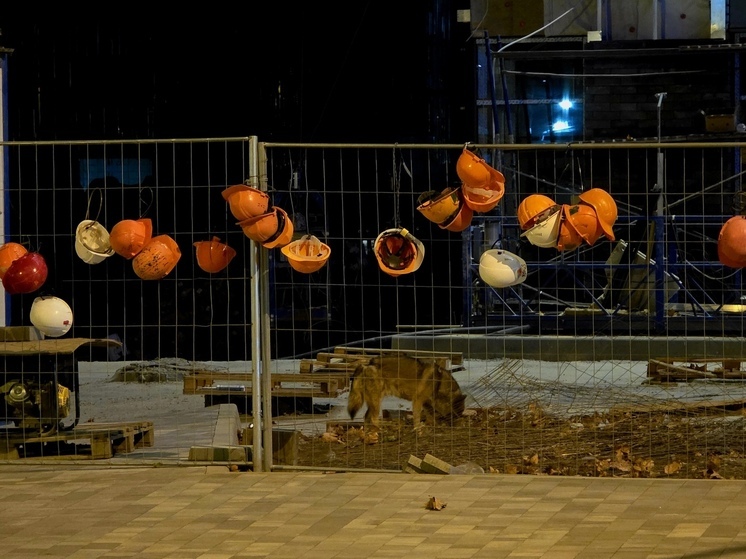 В Сочи за неделю собрали более 48 кубометров коммунальных отходов