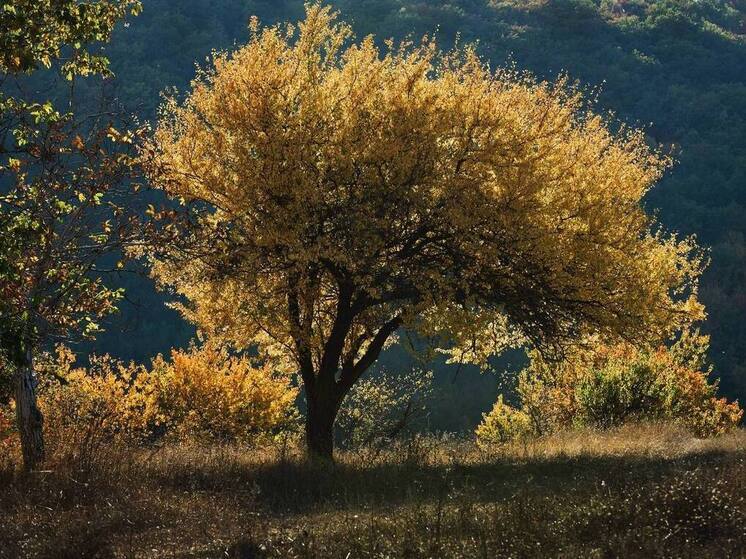 Нацпарк "Святые горы" появится в ДНР и ЛНР
